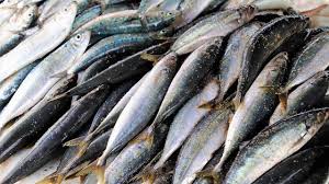 Ikan mas sendiri merupakan salah satu jenis ikan paling populer dan di buru oleh para pemancing. 7 Aneka Masakan Ikan Laut Lezat Dan Mudah Dibuat Hot Liputan6 Com