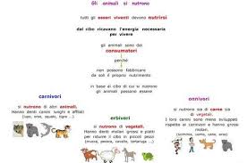 Paradiso Delle Mappe Gli Animali Si Nutrono Lezioni Di Scienze Scienza Per Bambini Scienza Scuola Media