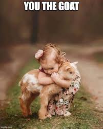 What Is The Goat Meme