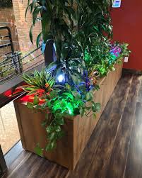 Lumn8 On Instagram Lumn8 Efx Lights Are The Perfect Accessory To Add Color To Your Indoor Plants Or Pots Comment Below In 2020 Indoor Plants Plants Lights