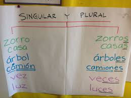 Singular Y Plural Dual Language Classroom Interactive Journals Thinking Maps