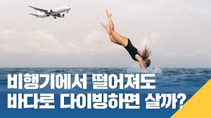 비상착륙은 바다가 더 위험해요. - 클리앙