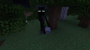The url for minecraft was given to users dock and fartron for testing. Classic Enderman Farlanders Wiki Fandom