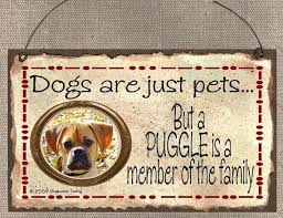 Dogs Are Just Pets But A Puggle Is A Member Of The Family Cute Etsy In 2020 Schnauzer Schnauzer Dogs Dog Signs