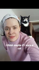 Whistling Swans (@whistlingswans) · Instagram 照片和视频