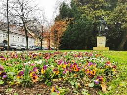 Massaggi erotici genova