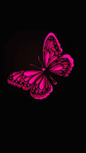 Maybe you would like to learn more about one of these? Pink Butterfly Wallpapers Top Free Pink Butterfly Backgrounds Wallpaperaccess