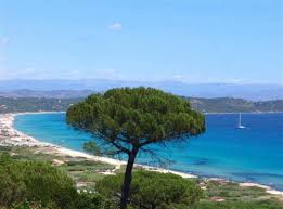 Locate pampelonne hotels on a map based on popularity, price, or availability, and see tripadvisor reviews, photos, and deals. Plage De La Baie De Pampelonne Ramatuelle Gay Saint Tropez Var Gay Sejour