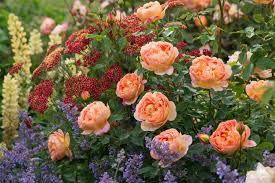 de tuinenstruinen top 10 van 2016 jardin anglais jardins champetres jardins