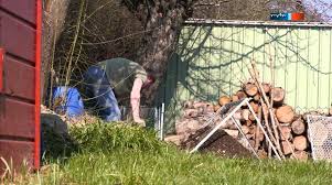Kellerassel in der wohnung, im garten und haus bekämpfen: Asseln Im Garten Youtube
