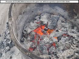 The charcoal you choose primarily impacts the intensity and evenness of your heat. Proverbs 26 20 Niv Without Wood A Fire Goes Out Without A Gossip A Quarrel Dies Down Proverbs 26 Proverbs Wood