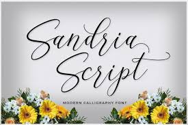 Instantly preview cardenio modern bold with your own text. Sandria Script Elegant Script Fonts Script Fonts Modern Calligraphy Fonts