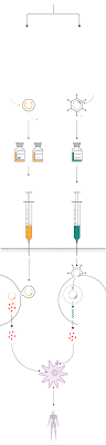 This snapshot feature looks at the possible side effects and safety recommendations associated with this mrna vaccine. Covid 19 In Spain The Differences Between The Pfizer Moderna And Oxford Coronavirus Vaccines What We Know So Far Science Tech El Pais In English