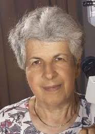 The Israel Chemist and Engineer ICE