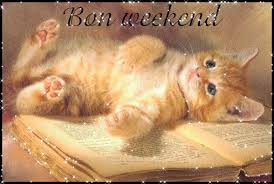 Résultat de recherche d'images pour "gif week end chat"