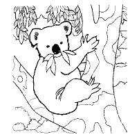 Try putting the finished pictures up on display, or send them home for the parents.tags in this resource: Australian Animals Coloring Pages