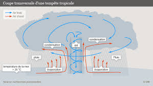 The adobe flash plugin is needed to view this content. Cyclones Une Puissance Destructrice Tous Les Contenus Dw 13 11 2013