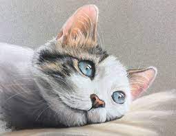 How do you use oil pastels? How To Draw A Cat With Pastels