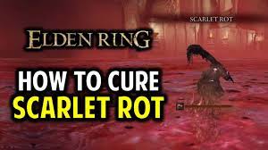 Scarlet Rot: How to Cure / Remove Scarlet Rot | Elden Ring - YouTube