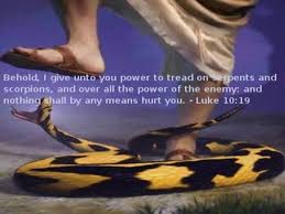 Luke 10:19 Behold, I give you authority to tread on serpents and ...