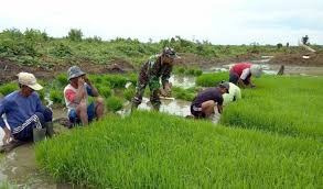 Sketsa bisa dibuat pada beragam media gambar. Ekspor Ke Png Petani Keerom Cukup Lewat Plb