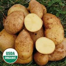 Maybe you would like to learn more about one of these? 7 Heirloom Potatoes Ideas Potatoes Growing Potatoes When To Plant Potatoes