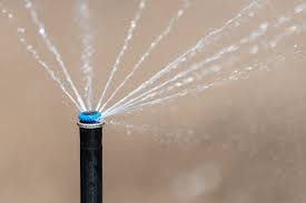 Watering New Grass Seed How Often How Much To Water New Seeds