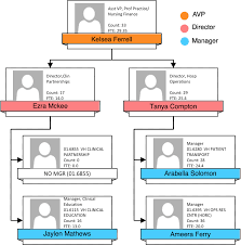 Soc Org Charts Hannan Abdi