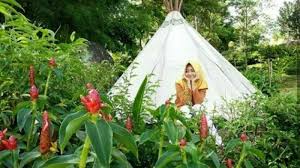 Jika tidak bisa berkunjung ke taman nasional way kambas, anda bisa mengunjungi taman wisata lembah hijau di kota bandar lampung. Wisata Lampung Sejuknya Alam Wawai Ramah Lingkungan Cocok Untuk Berakhir Pekan Bangka Pos