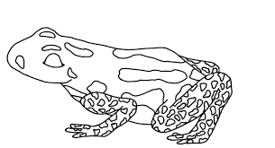 Coloring Page Poison Dart Frog By Blackcatstitchcrafts On Etsy Poison Dart Frogs Poison Dart Coloring Pages