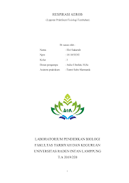 Penguapan air melalui proses transpirasi. Respirasi Aerob Elzi Sukaesih 1811050392