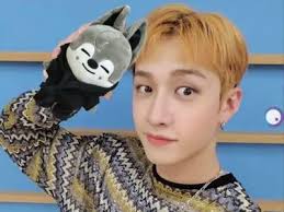 Você Conhece O Stray Kids?