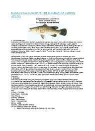 Bahan utama bikin sup ikan kakap adalah kakap, kunyit, belimbing wuluh, dan sejumlah bumbu. Budidaya Ikan Kakap Putih Di Keramba Jar