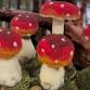 Needle Felted Fungi- Charlotte's Crafty Corner event image