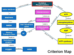 It feel so excited to share with you about a few interesting video. Effect Of Concept Mapping On Students Understanding Of