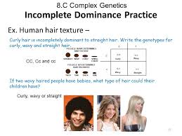 For example, a key hair gene in europeans is called tchh. Is Curly Hair Dominant Ovulation Signs