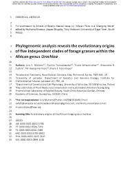 Image result for Poecilostachys oplismenoides