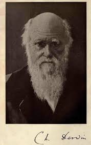 1908. The Darwin-Wallace celebration held