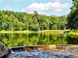 Am hammer berg, wadern, 36396, germany. Pilze Seite 2 Freia Bloggt