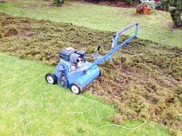 After dethatching, a leaf rake can be used to collect the thatch; How Much Does It Cost To Dethatch Your Lawn Best Manual Lawn Aerator