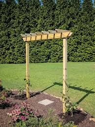 Simple, fast and easy step by step tutorial on how to create your own back yard grapevine trellis. How To Build A Grapevine Arbor Hgtv