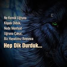 Gefallt 876 Mal 17 Kommentare Êª Sessizbirgece 34 Auf Instagram Ne Kemik Ugruna Kopek Olduk Ne De Menfaat Ugruna Cakal Biz H