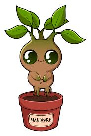 Harry Potter Sute Mandrake Sticker Sticker Mania