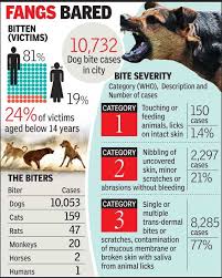 How can rabies be prevented after a dog bite? Ahmedabad 77 Of Dog Bites Leave Serious Wounds Ahmedabad News Times Of India