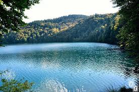 Pour autant la truite a également besoin de zones calmes et profondes pour grossir. Les Meilleurs Endroits Ou Pecher En Auvergne