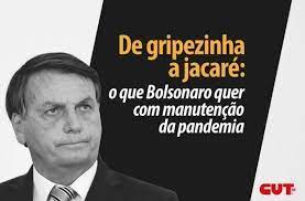 Ana maria braga ironiza 'jacaré' de bolsonaro e diz que tomará vacina. De Gripezinha A Jacare O Que Bolsonaro Quer Com Manutencao Da Pandemia Cut Df