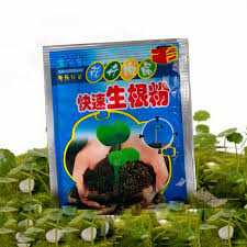Originally developed in the 1930's by a gardener who successfully grew and sold enough of this tomato variety to pay off his mortgage! Flower Strong Fast Rooting Powder Plants Growing Root Seed Strong Recovery Root Vigor Germination Aid Fertilizer Garden Decor Super Offer 20d3 Goteborgsaventyrscenter