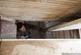It's cold, a little humid, and empty, save for a few broken wooden crates and a couple dirty towels from who knows where scattered across the floor. Ask The Inspector Get Rid Of Cold Storage Room In Basement Winnipeg Free Press Homes