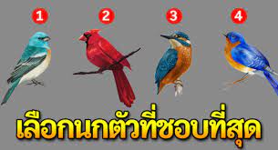 นกท ค ณชอบ บอกความเป นต วตนของค ณ ได แม นมาก ส นค าป ายแดง ภาพ