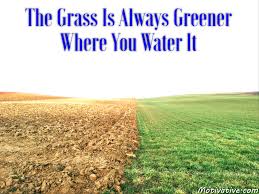 The Grass Is Always Greener On The Other Side Of The Fence Expansion Of Idea The Grass Is Always Greener Where You Water It Motivate Motivational Inspirational Images Grass Green Lawn Care